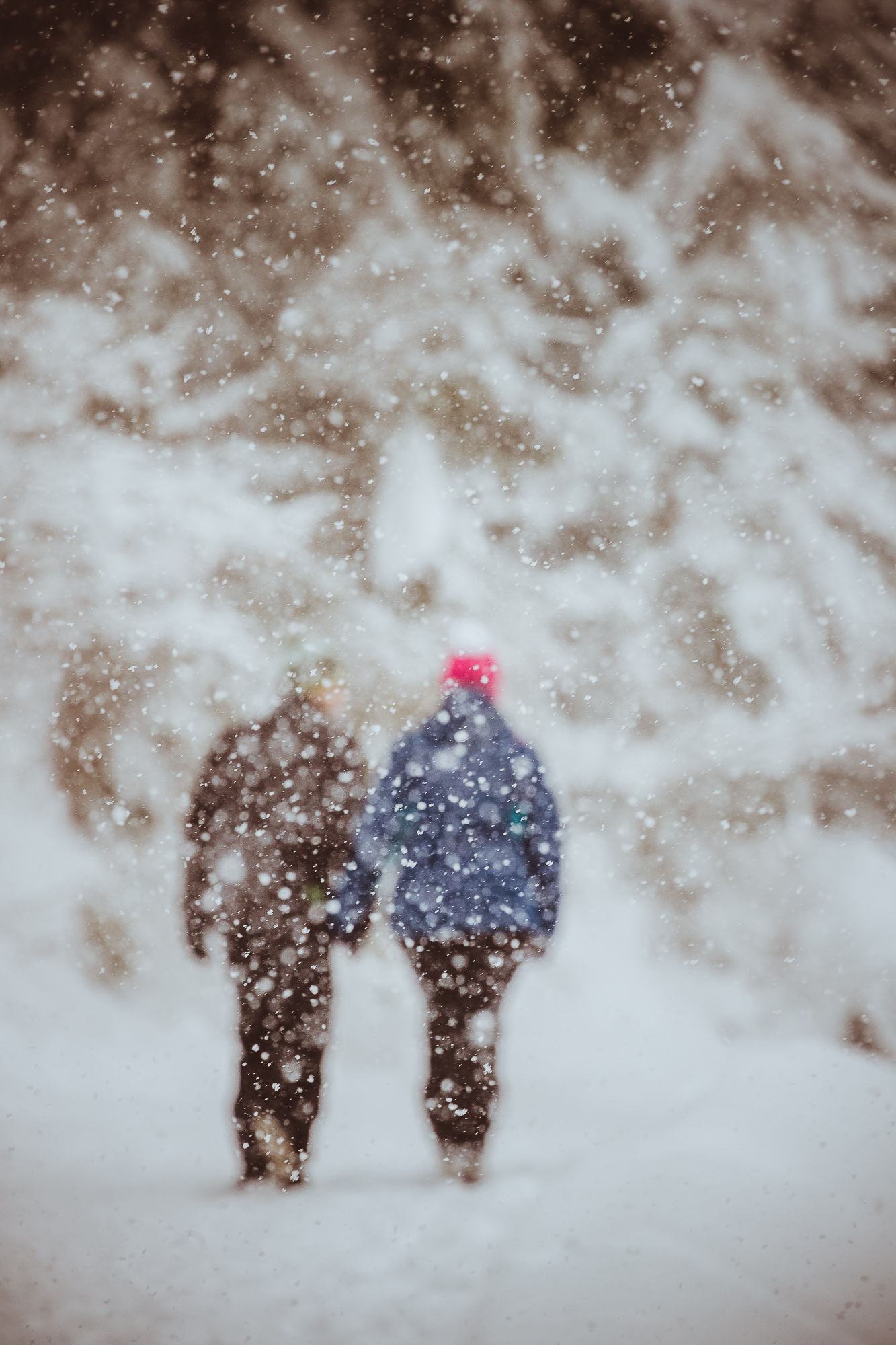 Export x3 1DX29386 Verlobungsfotoshooting 2018 Anna & Dominik